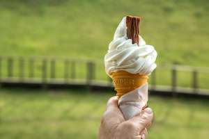 3 Tips to Make More Delicious Homemade Ice Creams This Summer 3 Tips to Make More Delicious Homemade Ice Creams This Summer